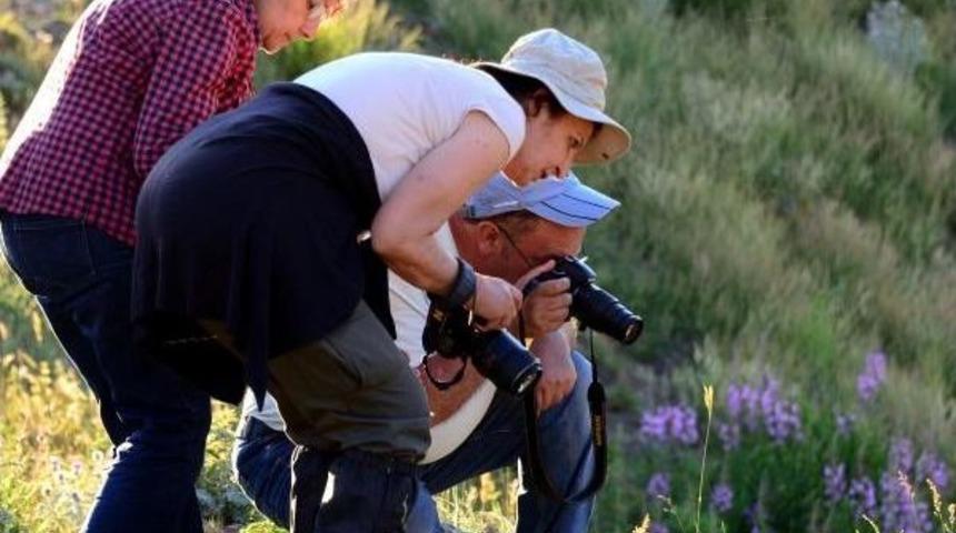 Kelebek Peşinde Koşan Anneler
