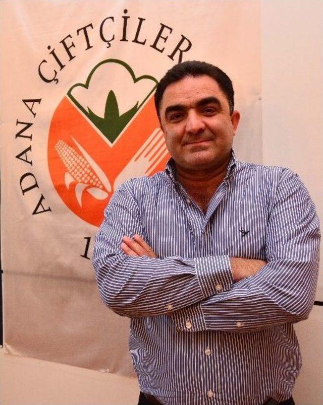 Mısırda Hasat Başladı 1