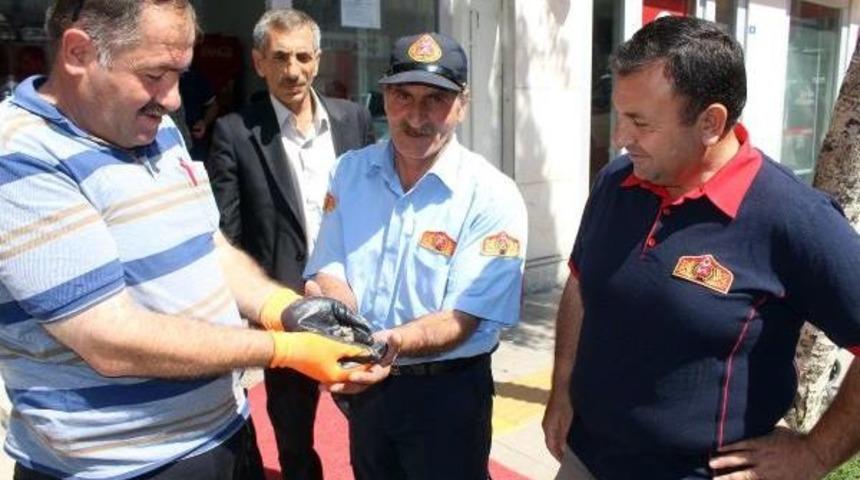 Ardahan'da Ser&ccedil;e Operasyonu