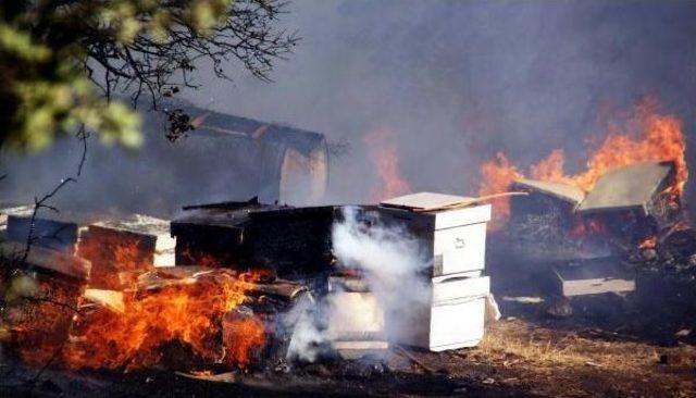 Bodrum'da Korkutan Yangın