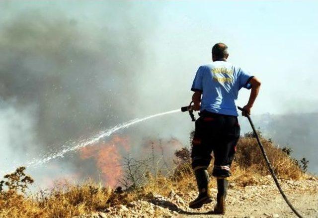 Bodrum'da Korkutan Yangın