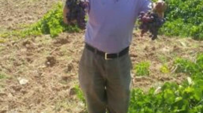 M&uuml;hendislerin Tavsiyesini Dinledi, 10 Yıl Sonra Bağından Verim Aldı