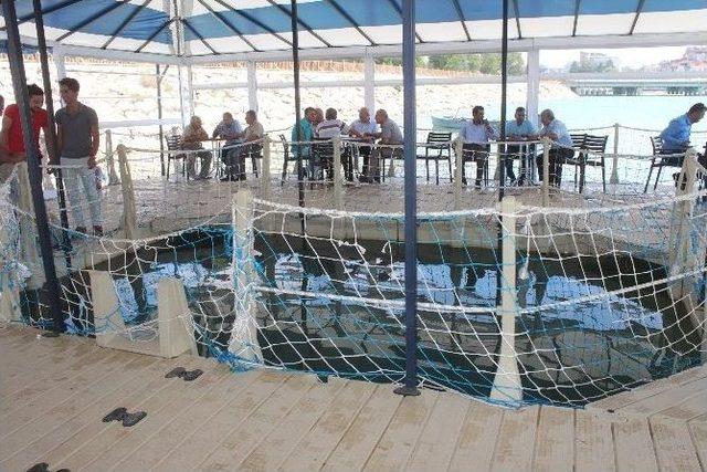 Konya&rsquo;nın Denizinde &rsquo;y&uuml;zer Kafe&rsquo; 2