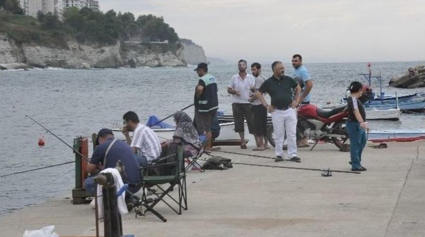 Olta Avcıları İş Başında