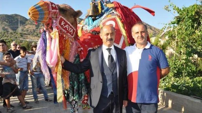 Gelini Baba Evinden Deveyle Aldı