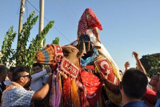 Gelini Baba Evinden Deveyle Aldı