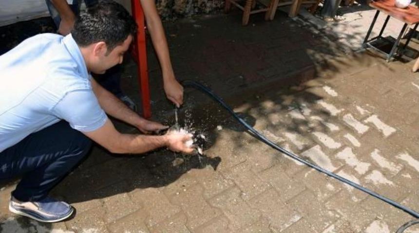 Batman'da Duvar Ile Durak Levhası Arasına Sıkışan Kediyi Itfaiye Kurtardı