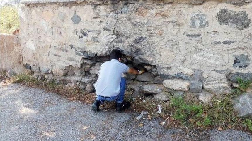 Yıldırım&rsquo;da Haşere İle M&uuml;cadele Artarak S&uuml;r&uuml;yor