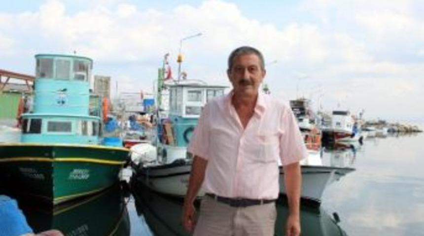 Balık&ccedil;ıların Başı Yunuslarla Belada