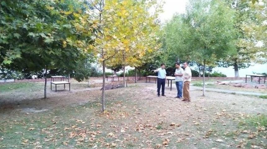 Kavaklık Yenileniyor