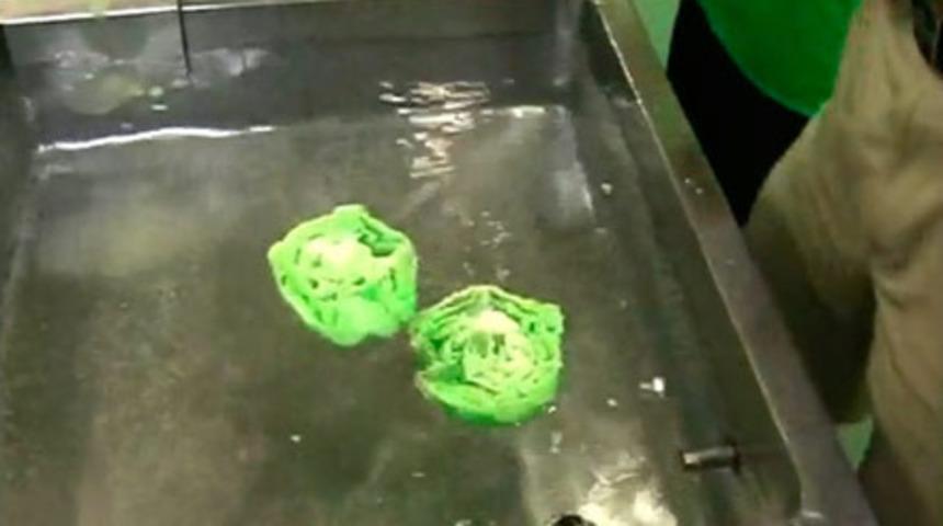 &Ccedil;in malı marul b&ouml;yle olur!