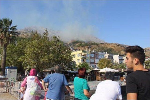 Marmara Adası'nda Orman Yangını (2)