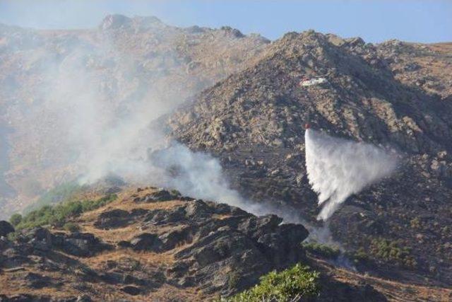 Marmara Adası'nda Orman Yangını (2)