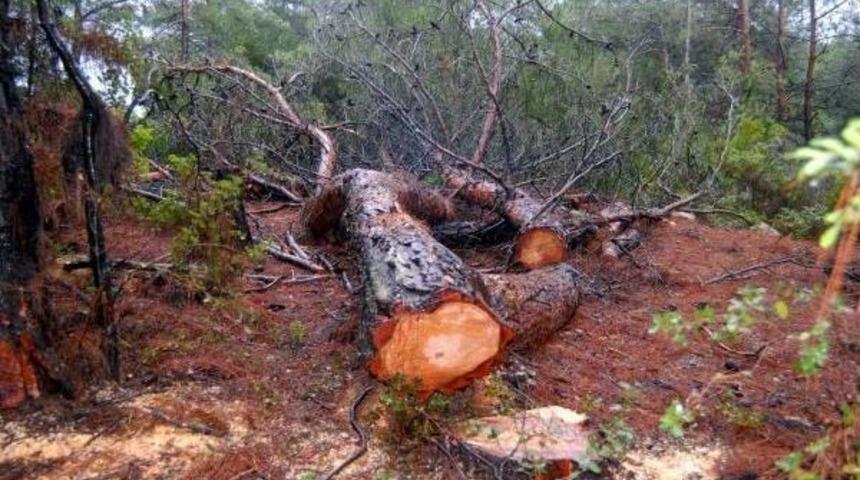 Urla Ovacık'taki Res Projesi I&ccedil;in Mahkemeden K&ouml;yl&uuml;leri Sevindiren Karar