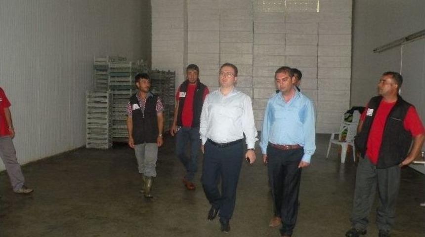 Kaymakam Zaderoğlu Osb&lsquo;yi İnceledi