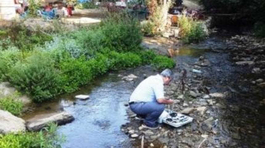 &Ouml;demiş&rsquo;te Orman İ&ccedil;i Sulara Alabalık