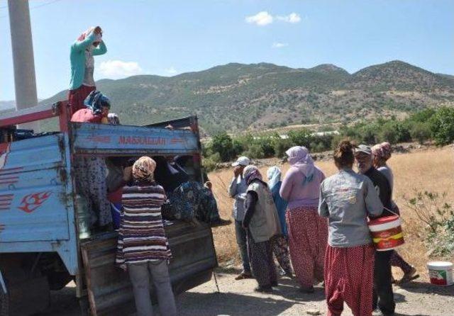 Kamyonet Kasasında Tarım Işçisi Taşıyanlar Engellendi