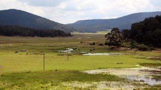 51 Bin Hektarlık Yeşil Alan Turizm Imarına Açıldı