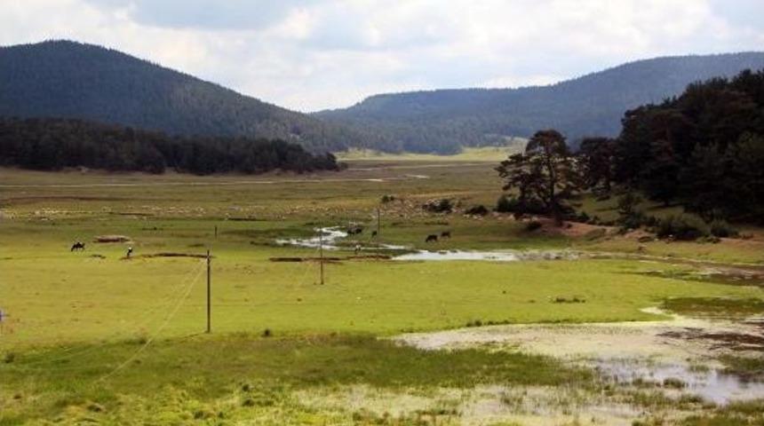 51 Bin Hektarlık Yeşil Alan Turizm Imarına Açıldı