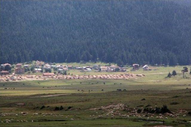 51 Bin Hektarlık Yeşil Alan Turizm Imarına Açıldı