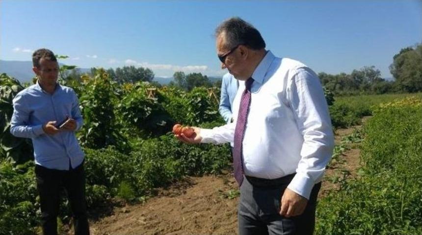 Başkan Yılmaz, D&uuml;zce Valisi&rsquo;yle Bebek Ormanını Gezdi