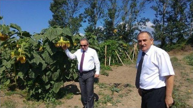 Başkan Yılmaz, Düzce Valisi’yle Bebek Ormanını Gezdi