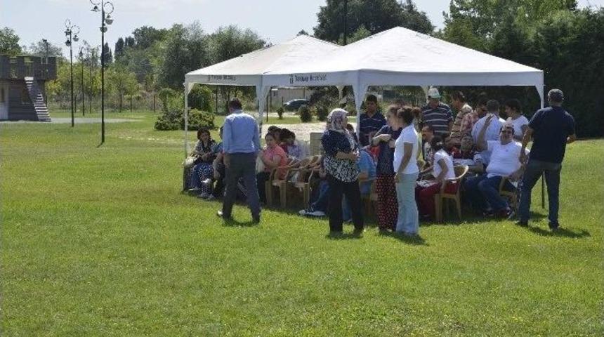 Hayvan Sevgisi İle Rehabilitasyon