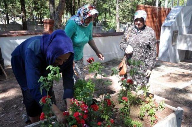 Şehit Yüzbaşının Babasından 'asılsız Ve Çirkin Haberlere' Tepki