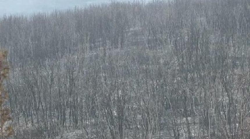 - Tuzla'daki Askeri B&ouml;lgede &Ccedil;ıkan Yangın 1,5 Saatte Kontrol Altına Alındı