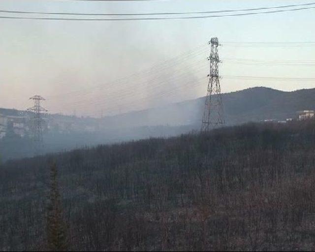 - Tuzla'daki Askeri Bölgede Çıkan Yangın 1,5 Saatte Kontrol Altına Alındı