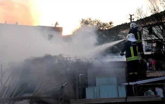 Bodrum'da Korkutan Yangın