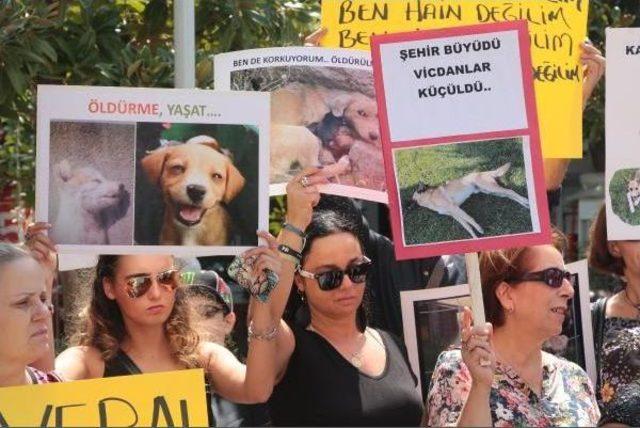 Activists Protest Alleged Animal Poisoning In Western Turkey