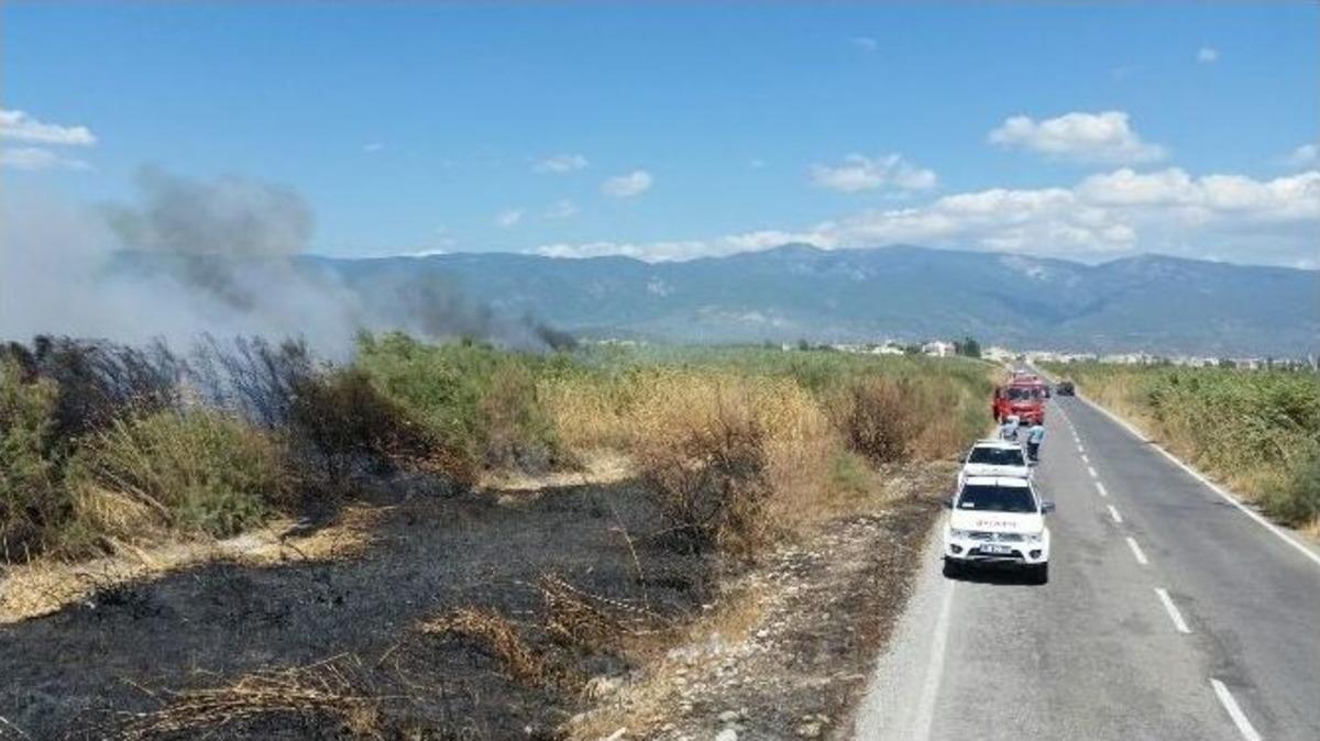 Yol Kenarında Başlayan Yangın Sazlığı Yaktı