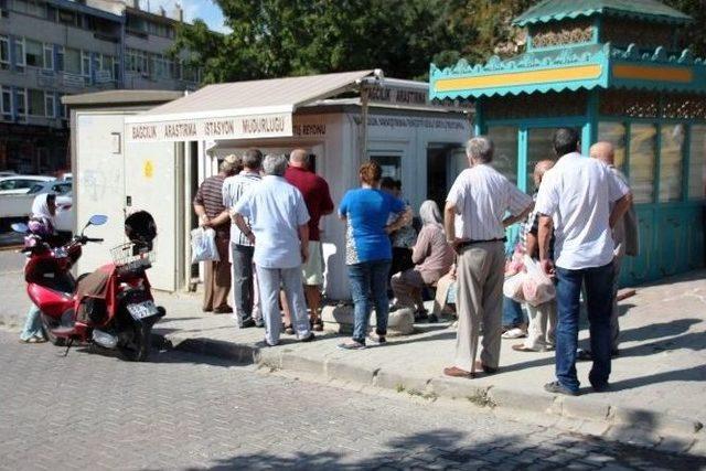 Tekirdağ Bağcılık Araştırma İstasyonu’nun Çekirdeksiz Ve Çavuş Üzümü Tezgahta