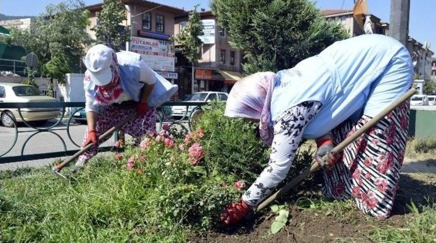 Sonbahar &Ccedil;i&ccedil;ekleri Ekilen Ref&uuml;jler Kenelere Karşı İla&ccedil;lanıyor