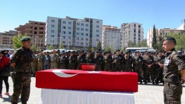 Mardin'de Zıhlı Araç Devrildi, 1 Polis Şehit (2)