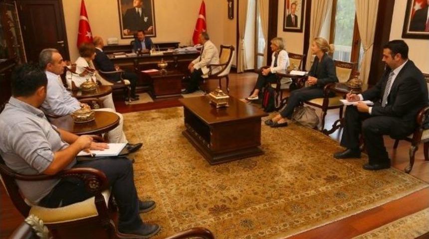 Ilo&rsquo;dan Ordu&rsquo;ya Takdir