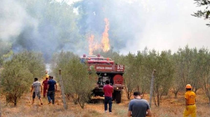 Antalya Aksu'da Orman Yangını (2) - Yeniden