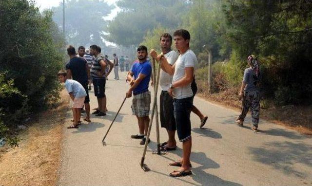 Antalya Aksu'da Orman Yangını (2) - Yeniden