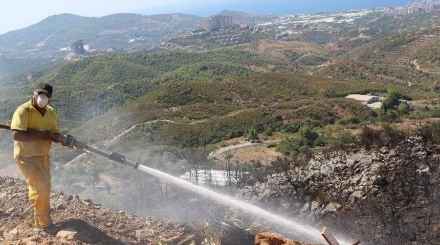 Alanya&rsquo;da &Ccedil;&ouml;pl&uuml;k Yangını