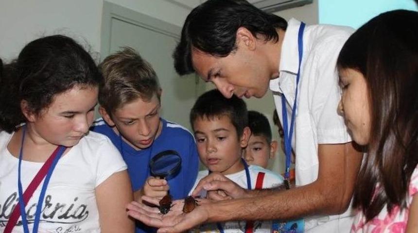 Sualtı D&uuml;nyası Yaz Okulu Etkinlikleri Devam Ediyor