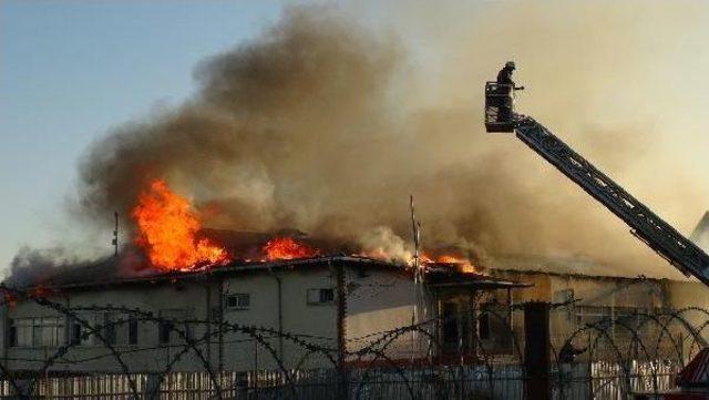 Kumkapı Balık Hali'nde Çıkan Yangın Söndürüldü