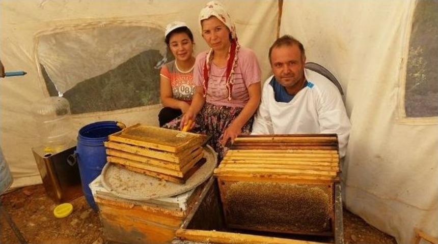 Bal &Ccedil;ok, &Uuml;reticisine Tadı Yok