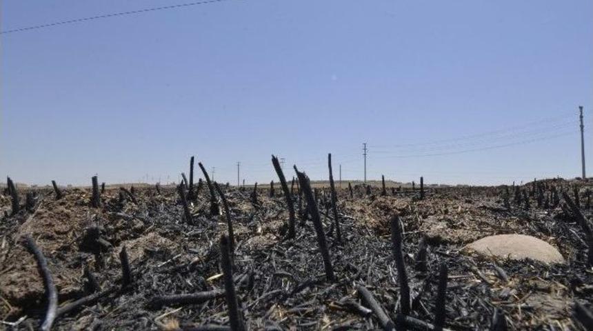 Diyarbakır İtfaiyesi 3 Ayda Bin 605 Anız Yangınına M&uuml;dahale Etti