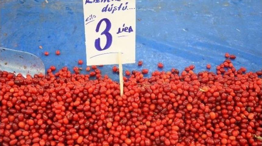 Pazarda Alıcı Bulamayan Kızılcık İneklere Yem Oluyor