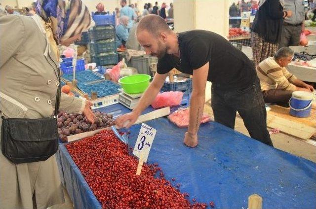 Pazarda Alıcı Bulamayan Kızılcık İneklere Yem Oluyor