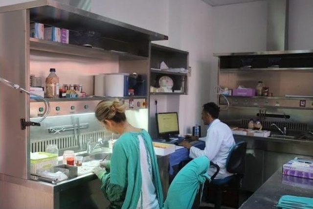 Bülent Ecevit Üniversitesi, Tıbbi Patoloji Alanında Da Fark Attı