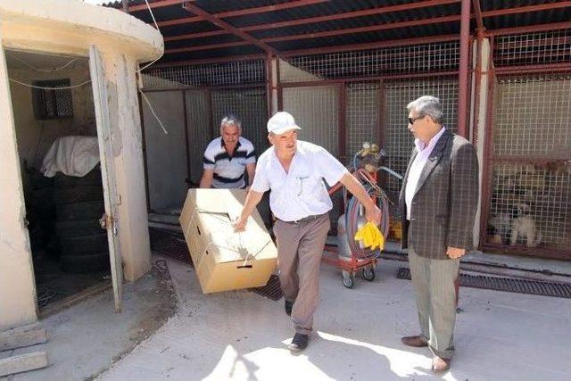 (özel Haber) Bayburt’ta Bulunan Yaralı Vaşak Tedavi İçin Erzurum’a Gönderildi