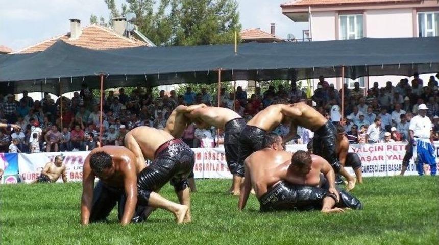 Altın Kiraz G&uuml;reşleri Başlıyor