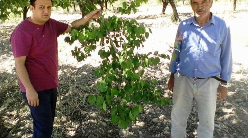 &Ouml;zcan&rsquo;dan &lsquo;iyi Tarım Uygulamaları&rsquo; Uyarısı